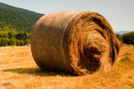 hay round bale