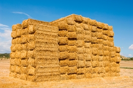 hay square bales