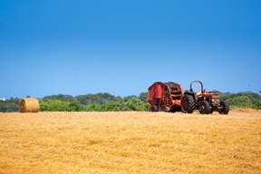 hay production